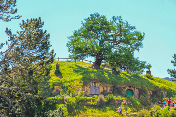 Hobbiton e suas colinas verdejantes na Nova Zelândia