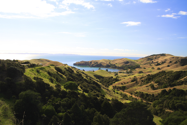 Paisagem em Coromandel Península na Nova Zelândia