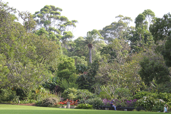 Jardim Botânico de Sydney na Austrália