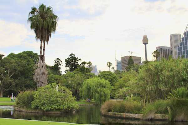 Jardim Botânico Real de Sydney na Austrália 