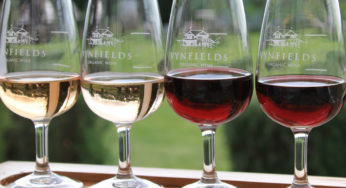 Enoturismo em Wairarapa: Um passeio pelas vinícolas de Martinborough