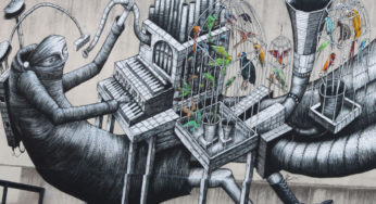 Dunedin Street Art: O lado cool da cidade