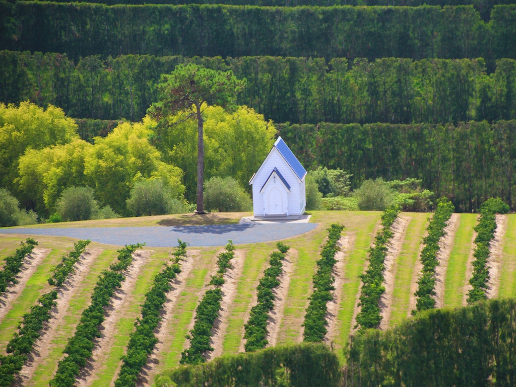 Vinicolas em Auckland - Matakana Wine Trail