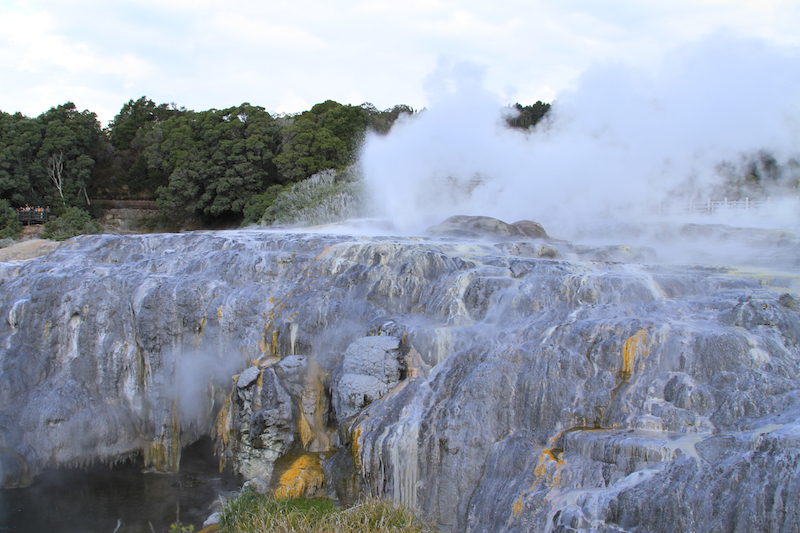 Pohutu Geyser em erupção em Rotorua na Nova Zelândia 