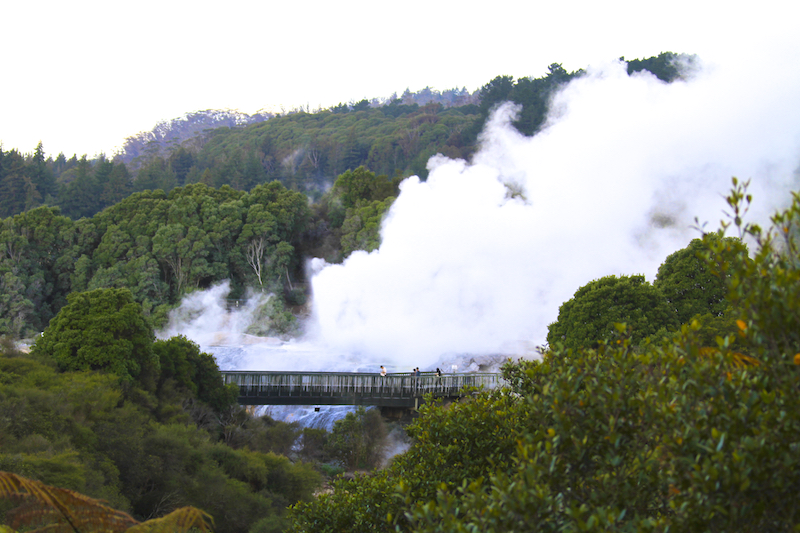 Pohutu Geyser em Rotorua na Nova Zelândia