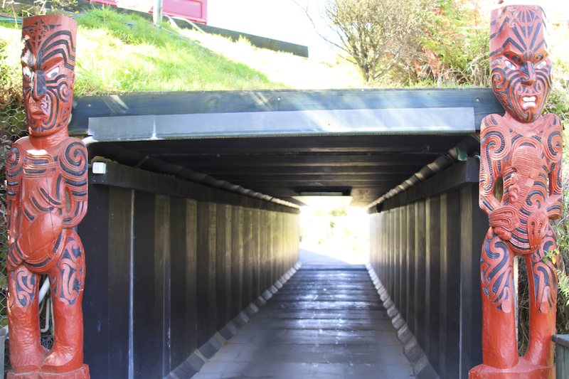 Tunel de acesso ao Te Puia em Rotorua