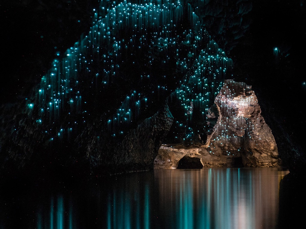 Waitomo Caverna Nova Zelandia Glowworm