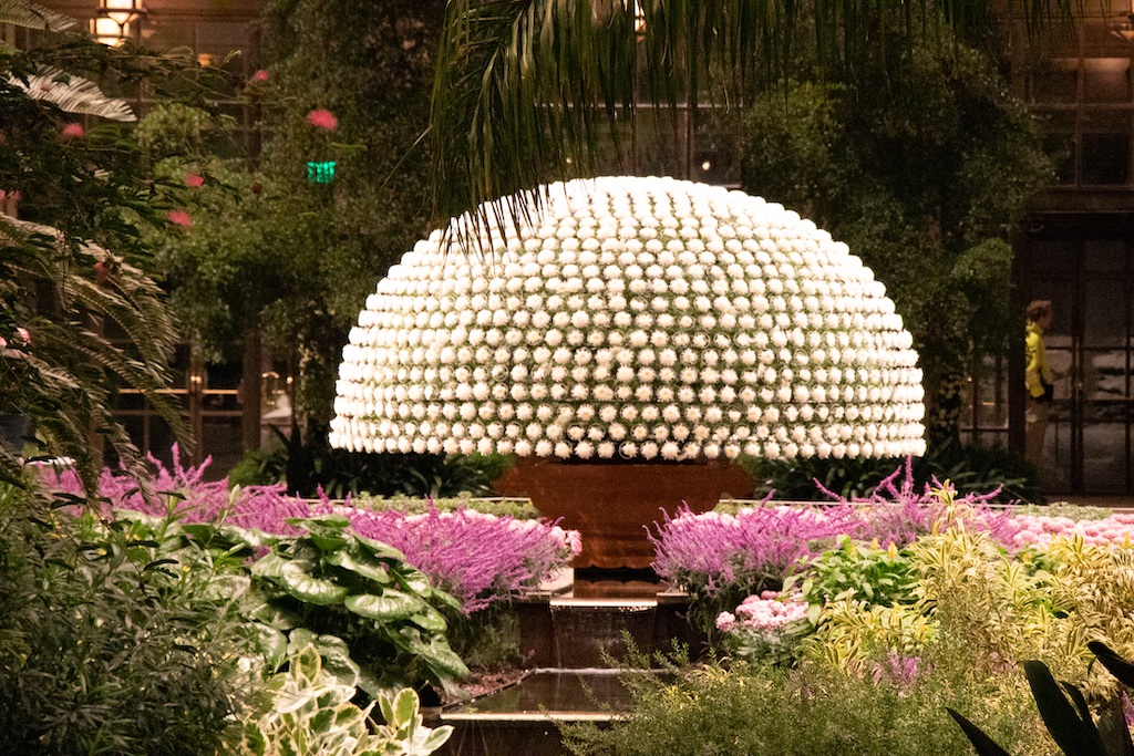 Festival dos Crisântemos no Longwood Gardens